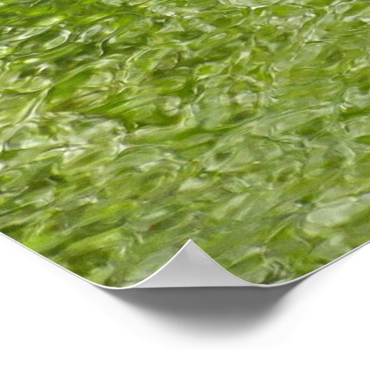 Wat te doen in de buurt van Laurel Hill State Park Poster (Hoek)