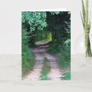 Wat te doen in de buurt van Woodland Dirt Path Kaart