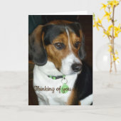 Wat te doen in de buurt van You Beagle Kaart (Gele Bloem)