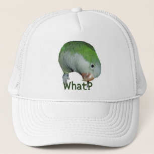 Wat? Trucker Pet