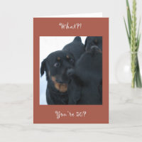 Wat?! U bent 50? verjaardags kaart