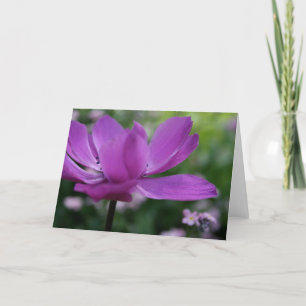 Wat verstop je? Anemone Floral Photography Kaart
