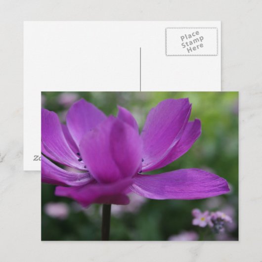 Wat verstop je? briefkaart (Voorkant / Achterkant)