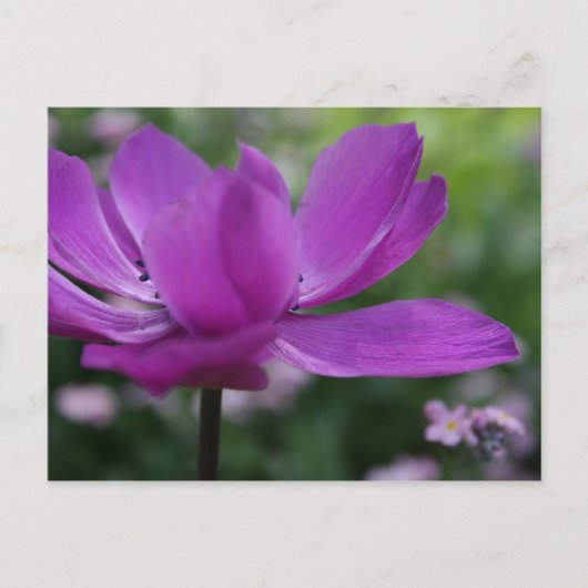 Wat verstop je? briefkaart (Voorkant)