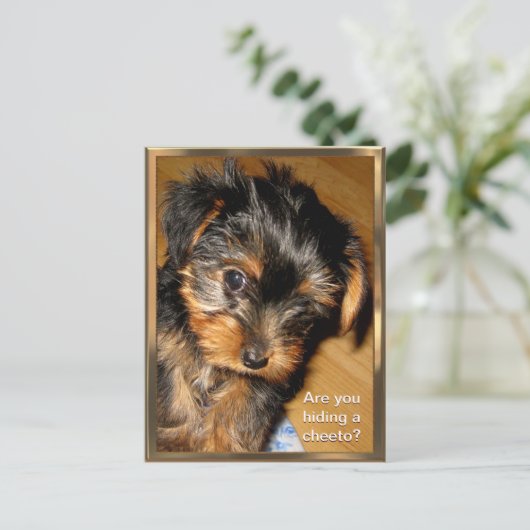 Wat verstop je? Briefkaart (Staand voorkant)