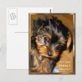 Wat verstop je?  Briefkaart (Voorkant / Achterkant)