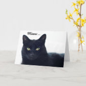 Wat vertelt deze kat ons op een verjaardag? kaart (Gele Bloem)