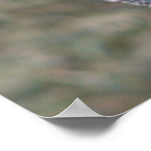 Wat? Verward Turkije Poster (Hoek)