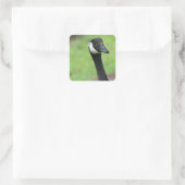 Wat? Vierkante Sticker (Tas)