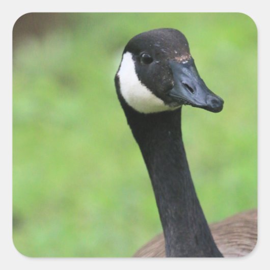 Wat? Vierkante Sticker (Voorkant)