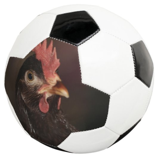 Wat? Voetbal (Drie kwart)