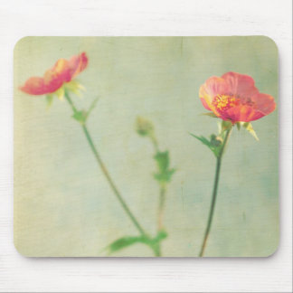 Wat volgende Mousepad Muismat