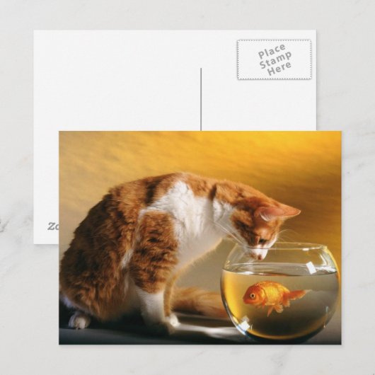 Wat voor eten? Briefkaart (Voorkant / Achterkant)