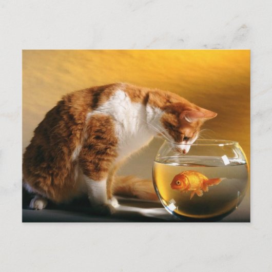 Wat voor eten? Briefkaart (Voorkant)