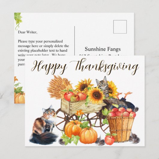 Wat voor Turkije? Innocent Cats, Happy Thanksgivin Briefkaart (Voorkant / Achterkant)