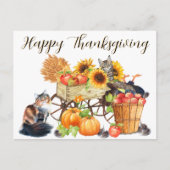 Wat voor Turkije? Innocent Cats, Happy Thanksgivin Briefkaart (Voorkant)