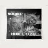 WAT VOOR WIET WANDKLEED (Voorkant (horizontaal))