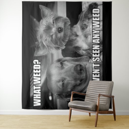 WAT VOOR WIET WANDKLEED (In situ)