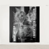 WAT VOOR WIET WANDKLEED (Voorkant)