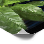 Wat we kunnen voorstellen, kunnen we echt Poster m (Hoek)