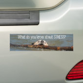 Wat weet je van STRESS? Bumpersticker (Op auto)