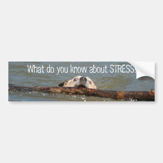 Wat weet je van STRESS? Bumpersticker (Voorkant)