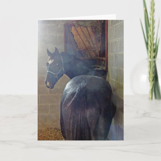 Wat wil je? kaart (Voorkant)