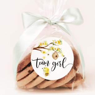 Wat zal baby team meisje stickers