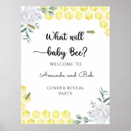 Wat zal baby zijn gender onthullen poster