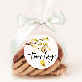 Wat zal baby zijn team boy stickers