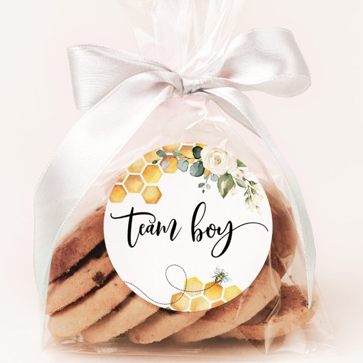 Wat zal baby zijn team boy stickers