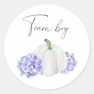 Wat zal baby zijn team jongen pompoen ronde sticker
