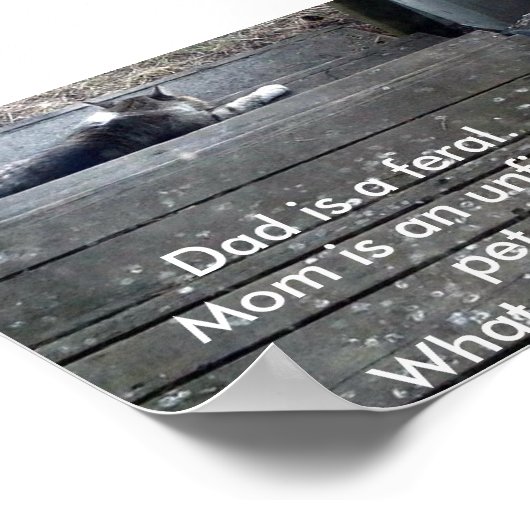 "Wat zal ik zijn?" feral kitten poster? Poster (Hoek)