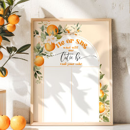 Wat zal kleine schatje zijn hij of zij grafiek poster