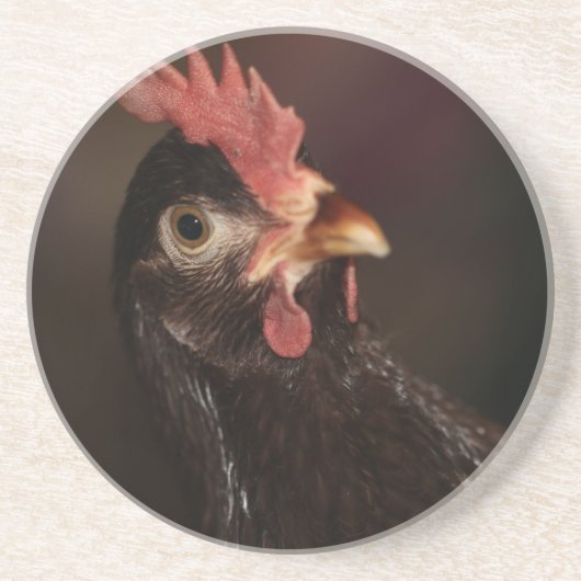 Wat? Zandsteen Onderzetter (Voorkant)