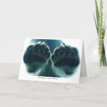 Wat ze onder het ijs zagen