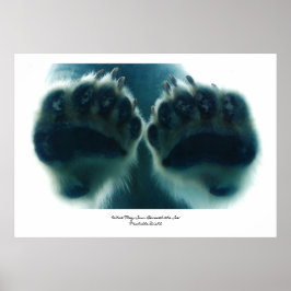 Wat ze onder het ijs zagen poster