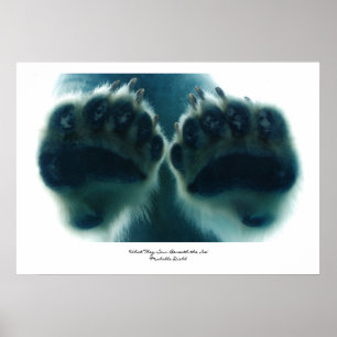 Wat ze onder het ijs zagen poster