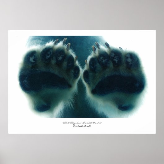 Wat ze onder het ijs zagen poster (Voorkant)