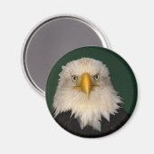 "WAT ZEGGEN?" Bald Eagle Magnet (Voorkant / Achterkant)