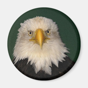 "WAT ZEGGEN?" Bald Eagle Magnet