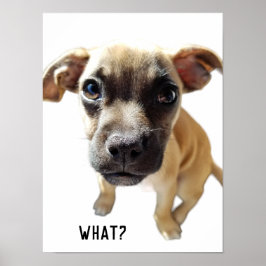 Wat zegt Chihuahua Pug Schattige Schattig Precious Poster