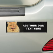 Wat zegt de kat? bumpersticker (Op auto)