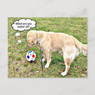 Wat zie je bij Golden face-off? Briefkaart