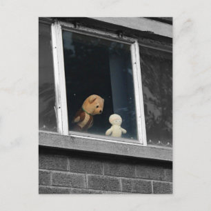Wat zie je mijn vriend? Leven van zachte speelgoed Briefkaart