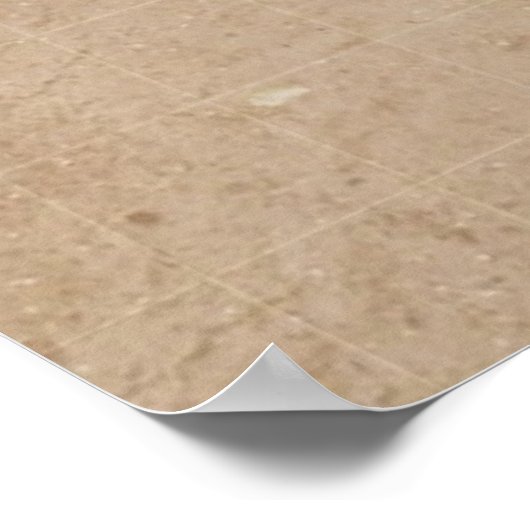 Wat zijn beschavingen? Poster *BIJGEWERKT* (Hoek)