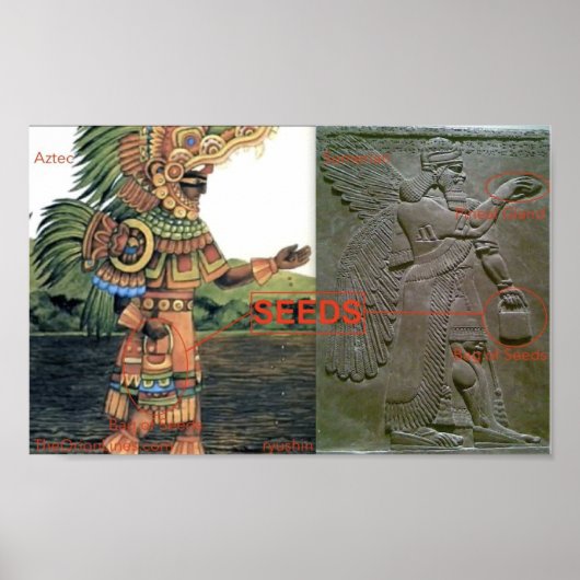 Wat zit er in de zakzaden poster (Voorkant)