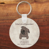 Wat zit er in een Pugaccino-Cute Dog-Pug Sleutelhanger (Voorkant)