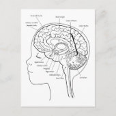 Wat zit er in je hersenen? briefkaart (Voorkant)