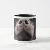 Wat zit er in Nosey Dog Mok (Midden)